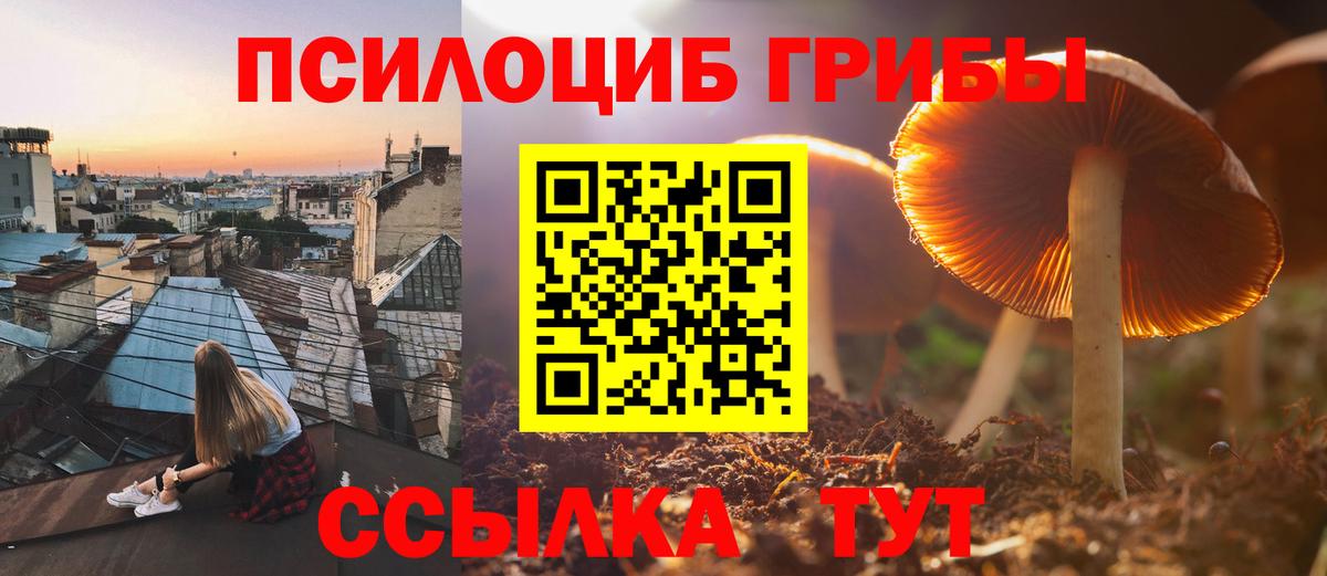 Сухой Лог  Псилоцибиновые грибы Psilocybe  Вход с VPN  Галлюциногенные грибы Magic Shrooms 
